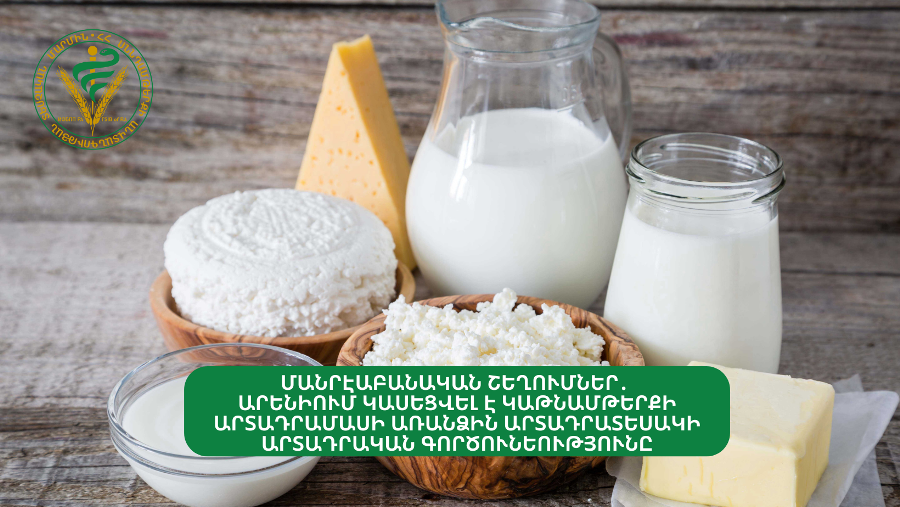 «Երփին»-ի «Լոռի» և «Գաուդա» պանիրները չեն համապատասխանել կանոնակարգերով սահմանված պահանջներին